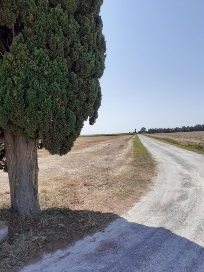 Casa Porciatti Hotel Grosseto Luaran gambar